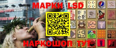 apvp Пугачёв