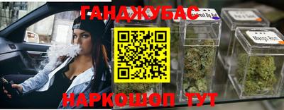 apvp Пугачёв