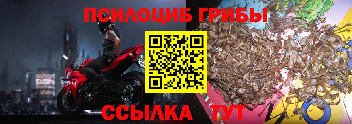 Псилоцибиновые грибы Magic Shrooms  Вход с VPN  Самара  Галлюциногенные грибы мицелий 
